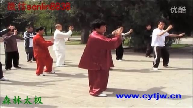 CHENYUTAIJI 1 17 смотреть онлайн