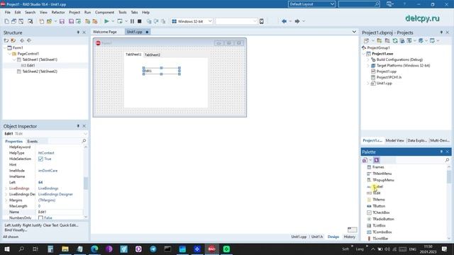PageControl C++. Embarcadero.