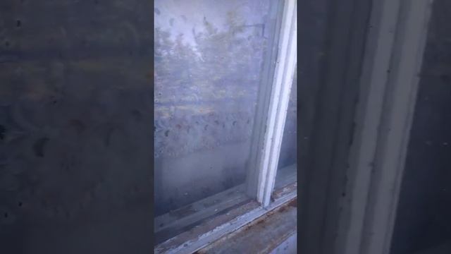 Продам 2х Комн.квартиру в Крыму.Советский р-н.с.Пруды.ул.Керченская.под ремонт.950000 руб. смотреть онлайн