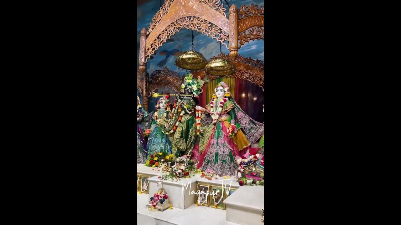 Today's Darshan Aug 24, 2024 Sri Dham Mayapur смотреть онлайн