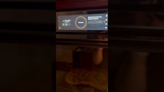 Можно ли разогреть еду в духовом шкафу с паром ? смотреть онлайн