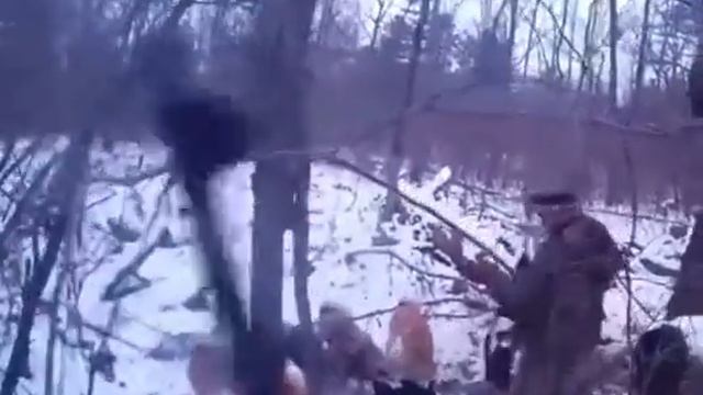 РАЗБУДИЛИ МЕДВЕДЯ ⏰ смотреть онлайн