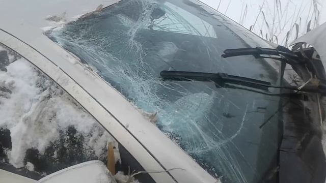 Шкода А5 Репортаж с места событий 21.12. смотреть онлайн
