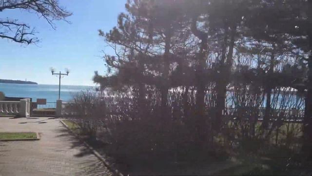 Ракушки в воде #геленджик смотреть онлайн