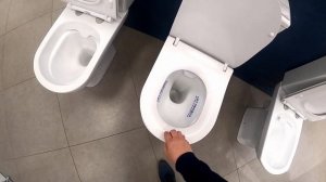 Размер унитаза имеет значение?