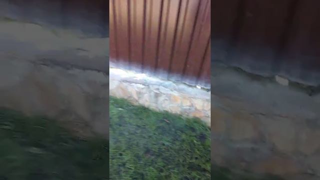 Фумигация кротовых туннелей смотреть онлайн