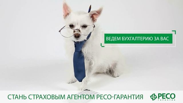 Стань агентом РЕСО-Гарантия смотреть онлайн