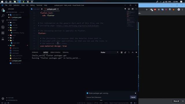 Flutter Tutorial - 17 Image Widget | Importing Image from an Assets смотреть онлайн