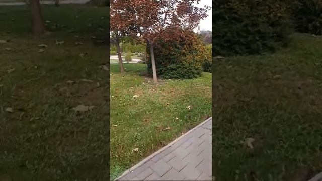 Монастырь Марфа и Мария смотреть онлайн