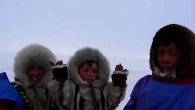 Вот так местные в тундре передвигаются смотреть онлайн