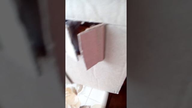 Дом тигра смотреть онлайн