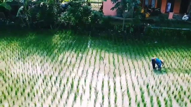 Dji Spark Footage ( Green Zone ) смотреть онлайн