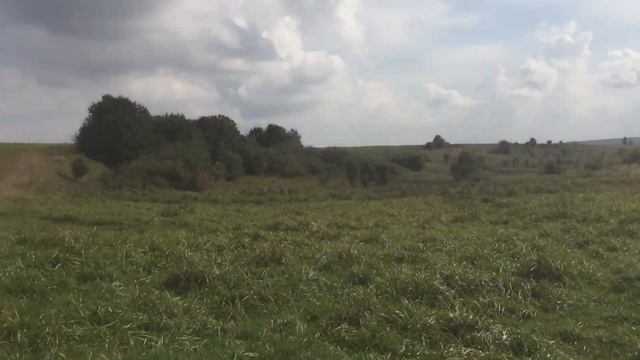 Коп с MD 3010i железо, ходячка, советы смотреть онлайн