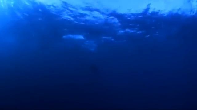 Acto De Valor (Pelicula Completa En Español Latino)