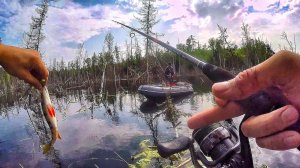 РЫБАЛКА В ЗАТОПЛЕННОМ ЛЕСУ! ШТОРМ, ПОЖАР, КУХНЯ, ЩУКИ, ОКУНИ и ДРУЗЬЯ! Рыбалка по-братски часть 3