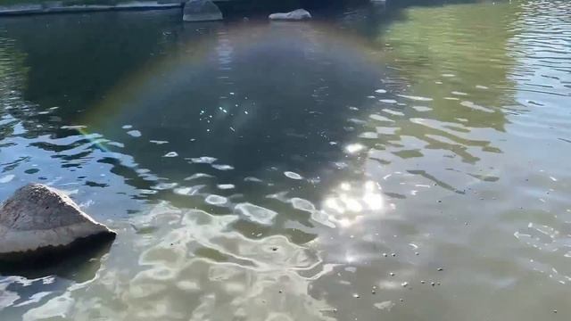 ПОТЕРЯЛА ОСТОРОЖНОСТЬ И ПОПАЛАСЬ ПРЯМО ОКОЛО ДОМА. Поучительные жизненные истории и аудио рассказы. смотреть онлайн