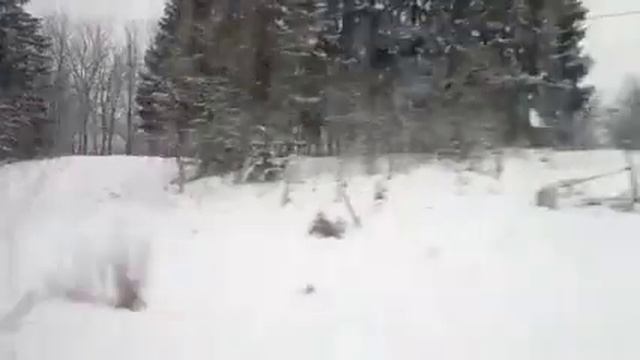 поездка на ласточка эс2г 237 маршрут от Санкт Петербург ленинский проспект до Гатчина Балтийская смотреть онлайн