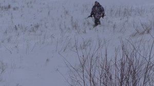 Охота с норной собакой на лису. Жесткая драка. Hunting with a burrowing dog for a fox. Tough fight.