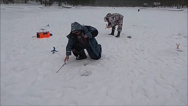 Форель быстро пролетает кордоны из приманок...Клёвое место, Лосиный остров, верхний водоём. смотреть онлайн