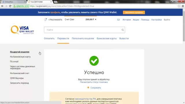 Инструкция: « Получайте от 30 000 ежемесячно на QIWI Кошелек ». смотреть онлайн