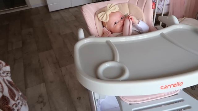 ВЛОГ:СТУЛЬЧИК ДЛЯ КОРМЛЕНИЯ CARRELLO CONCORD?