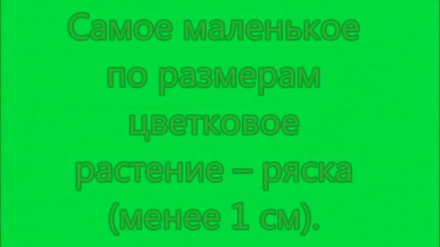 Разнообразие растительного мира. 5 класс. смотреть онлайн