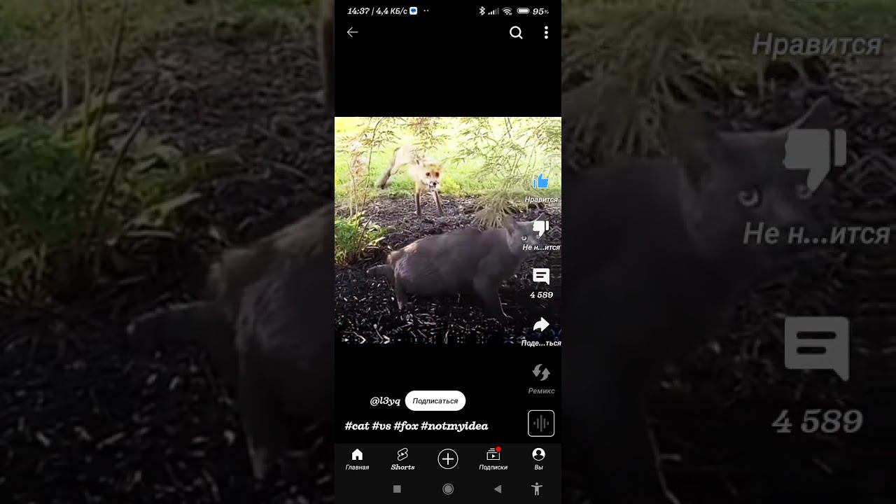 ????? #активпж  #рекомендации