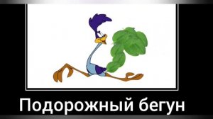 Луни тюнз + ШИЗА =