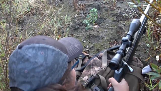 Wolf VS. Elk VS. Hunters смотреть онлайн