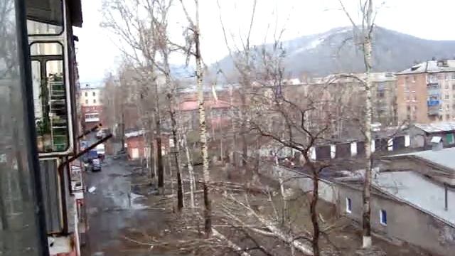 Гигантское дерево падает во дворе Междуреченска-2 смотреть онлайн