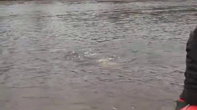 Рыбалка на тайменя хабаровск 2010 смотреть онлайн