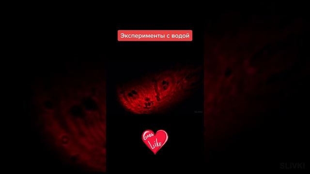 ПОЛЕЗНОЕ ВИДЕО. ЭКСПЕРЕМЕНТЫ С ВОДОЙ