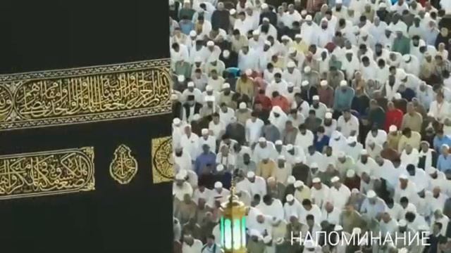 Нельзя превозноситься над людьми, даже если ты самый праведный. смотреть онлайн