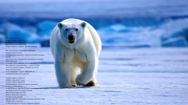 Интересные животные Арктики смотреть онлайн
