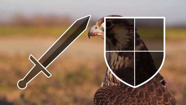 22?Peregrine Falcon vs Goshawk | + Fossa vs Civet winner смотреть онлайн