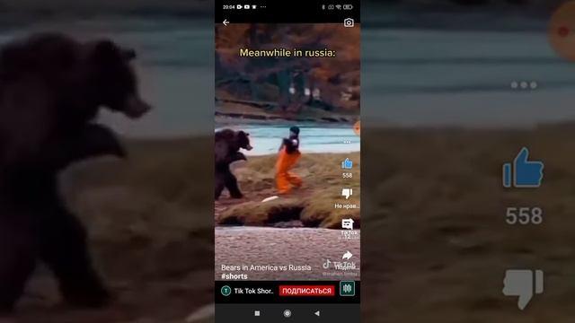 Медведи в Америке vs медведи в России!? Подписывайтесь. смотреть онлайн