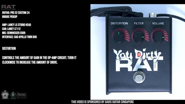 YOUR DIRTY RAT DISTORTION | ULTIMATE VERSATILITY | #ratdistortion смотреть онлайн