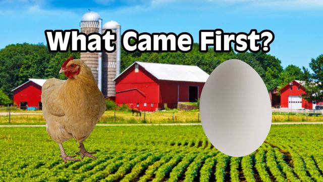 What Came First The Chicken Or The Egg? смотреть онлайн