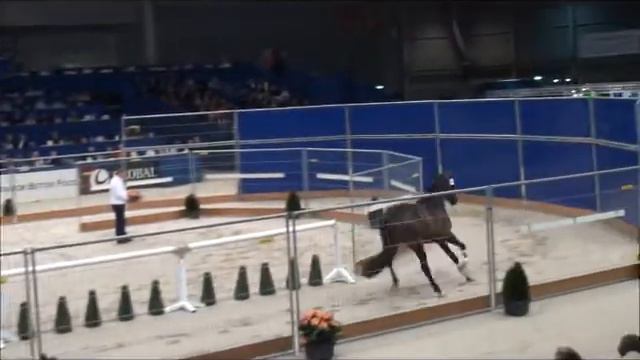 Charisma chiquille Tuschinski x Jazz hengstenkeuring 2010 смотреть онлайн