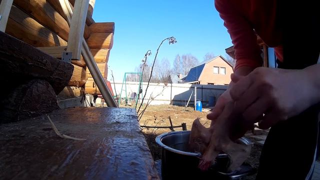 Чем заканчивается куриная жизнь или апофеоз цыплячей жизни смотреть онлайн