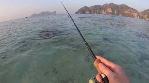 Рыбалка в Таиланде Rock Fishing Phuket!