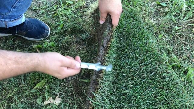 Какая толщина у рулона газона? Ответ тут! смотреть онлайн