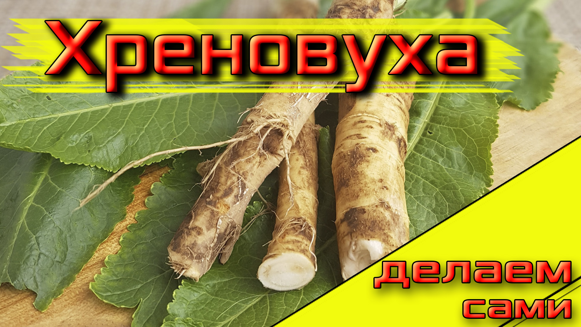 Активный отдых от Влада