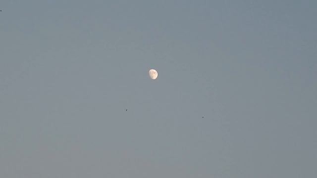 Closer Look Of Moon By Nikon Camera || Nikon SLR Camere L830 смотреть онлайн