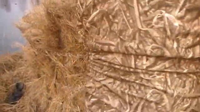 установка засидок и чучелов уток весна 2014 смотреть онлайн