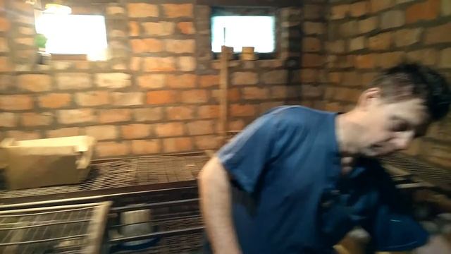 Индюки БИГ - 6. Возраст один месяц. смотреть онлайн