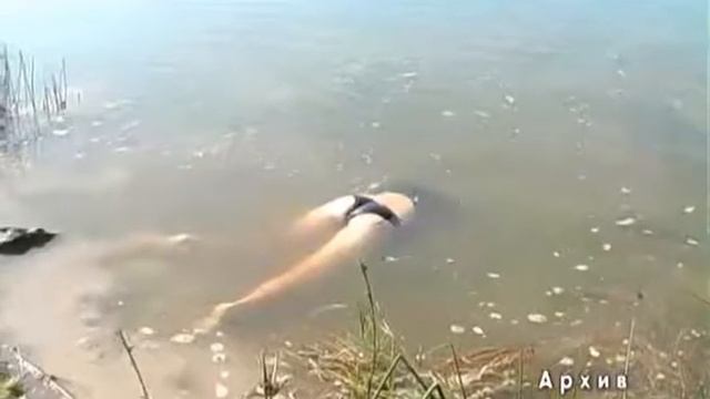 24 часа 9 08 14 Утонула 11 летняя девочка