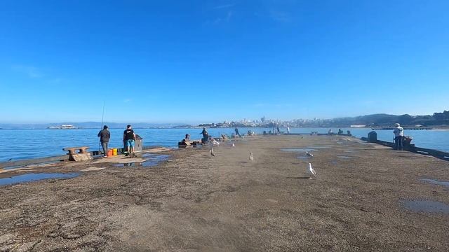 США #8 САН-ФРАНЦИСКО. Мост Золотые ворота (Golden Gate Bridge) смотреть онлайн