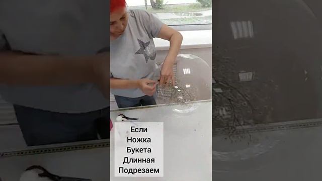 Как сделать необычный букет, цветы в прозрачном шаре, цветы в шаре баблс. смотреть онлайн