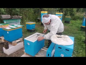 Улей Лысонь 6 рамочный доработка